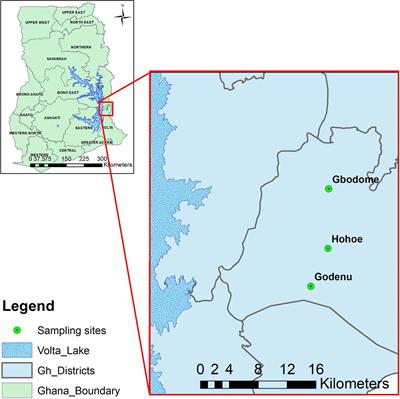 Serology reveals micro-differences in Plasmodium falciparum transmission in the Hohoe municipality of Ghana